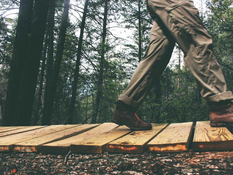 sudoku special edition